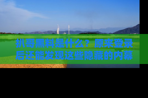 扒哥黑料是什么?原来登录后还能发现这些隐藏的内幕!