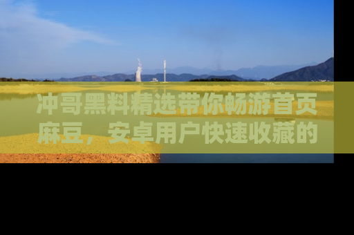 冲哥黑料精选带你畅游首页麻豆,安卓用户快速收藏的秘密武器!