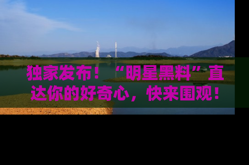 独家发布！“明星黑料”直达你的好奇心，快来围观！
