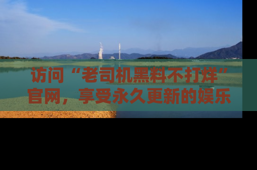 访问“老司机黑料不打烊”官网，享受永久更新的娱乐八卦和内幕新闻！