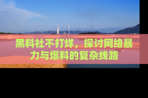 黑料社不打烊，探讨网络暴力与爆料的复杂线路