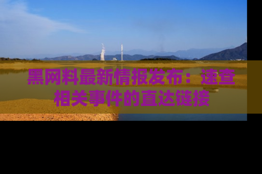 黑网料最新情报发布：速查相关事件的直达链接