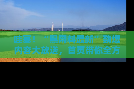 哇塞！“黑网料最新”劲爆内容大放送，首页带你全方位了解哦，小可爱们