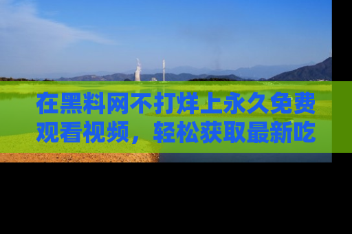 在黑料网不打烊上永久免费观看视频，轻松获取最新吃瓜资讯！