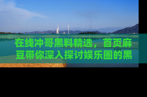 在线冲哥黑料精选，首页麻豆带你深入探讨娱乐圈的黑暗面